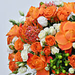 Whimsical Baby Roses