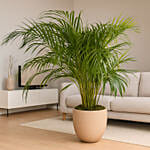 Tropical Areca Palm | Warm Beige Pot