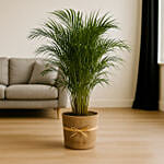Eco Chic Areca Palm with Natural Jute Wrap