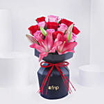 Whispers of Valentine Roses