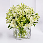 White Alstromeria Flower Vase Arrangement