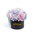 Colorful Hydrengea In Box