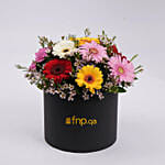 Mixed Color Gerberas Flower Box