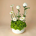 Ivory & Jade Love Arrangement