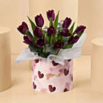 Royal Plum Tulips For Mother's Day
