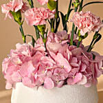 Mother’s Blush Garden