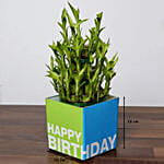 3 Layer Bamboo Plant With Chocolates For Birthday