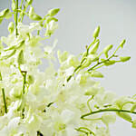 38 White Orchids Arrangement