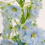 Ajmal Perfumes BLU for him