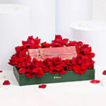 Apple Watch Series 10 46mm Loop Band Jet Black