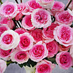 Astonishing Roses Beauty