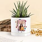 نبتة إيشفيريا عيد الميلاد