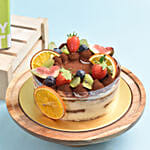 كومبو عيد الميلاد | تيراميسو كيك ونبات البامبو