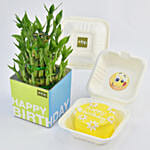 Birthday Wish Lunchbox Redvelvet Cake and Lucky Bamboo