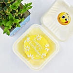 Birthday Wish Lunchbox Redvelvet Cake and Lucky Bamboo