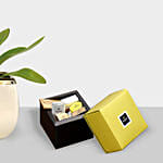 Blooming Single Stem Purple Orchid N Patchi Chocolates