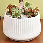Bonsai & Fittonia Plant In Platter Planter