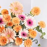 Candy Gerbera Delight