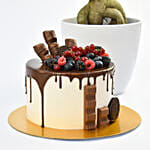 Candy Topped Choco With Plant