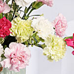 Carnations In A Premium Vase