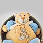 Cat in a Box Soft Toy