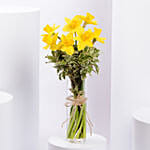 Easter Daffy Delight Arranegement