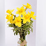 Easter Daffy Delight Arranegement