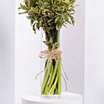 Easter Daffy Delight Arranegement