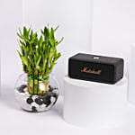 EMBERTON III BLACK AND BRASS