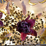 هدية عيد ميلاد مع عبارة العمر كله فرح مع ورود وشوكولاته