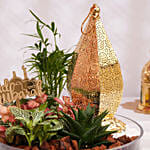 مزهرية العيد الأنيقة