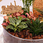 مزهرية العيد الأنيقة