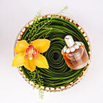 Elie Saab Girl Of Now Edp For Women 90Ml