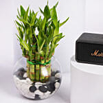 EMBERTON III BLACK AND BRASS