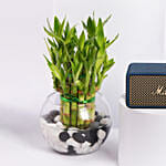 EMBERTON III MIDNIGHT BLUE