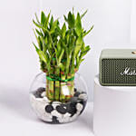 سبيكر مارشال إمبيرتون III أخضر مع بامبو