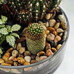 طبق نباتات الحديقة