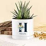 أصيص نبات إيشفيريا