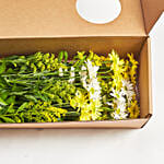 Flowers Weekly Subscription