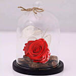 Forever Rose and Musical Globe