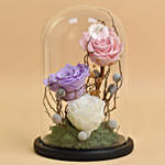 Forever Roses in a Dome