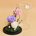 Forever Roses in a Dome