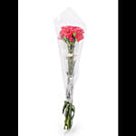 Fresh Bunch of Dark Pink Carnations 10 Carnations