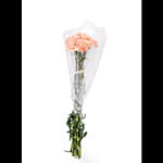 Fresh Bunch of Peach Carnations 10 Carnations