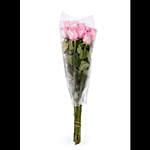 Fresh Bunch of Pink Roses 10 Roses