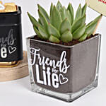 Friends For Life Plant Combo