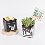 Friends For Life Plant Combo