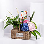 Grandparents Day Wishes Flowers And Plant Basket