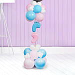 Gender Reveal Party Balloon Set
