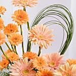 Gerbera Grace